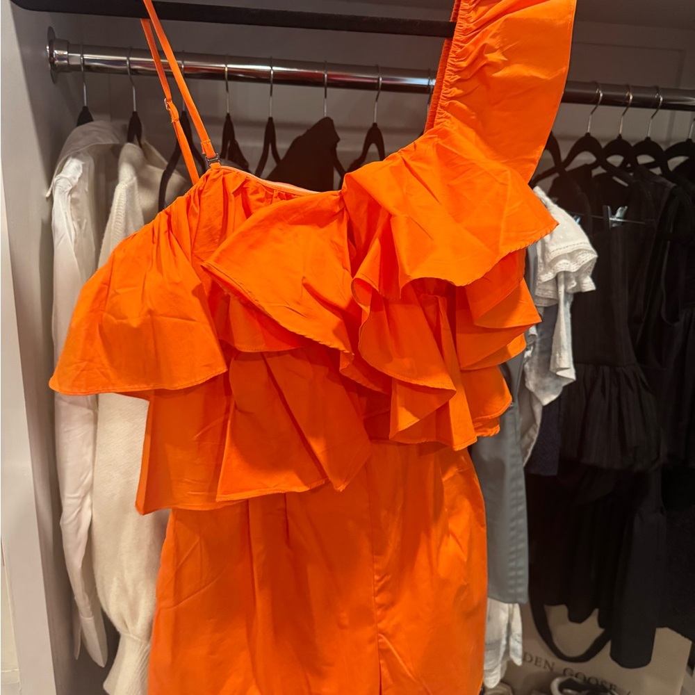 NWT Pants Store dress